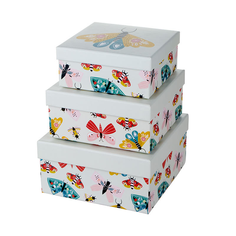 Butterfly Gift Box Z-3850 L – Value Co – South Africa