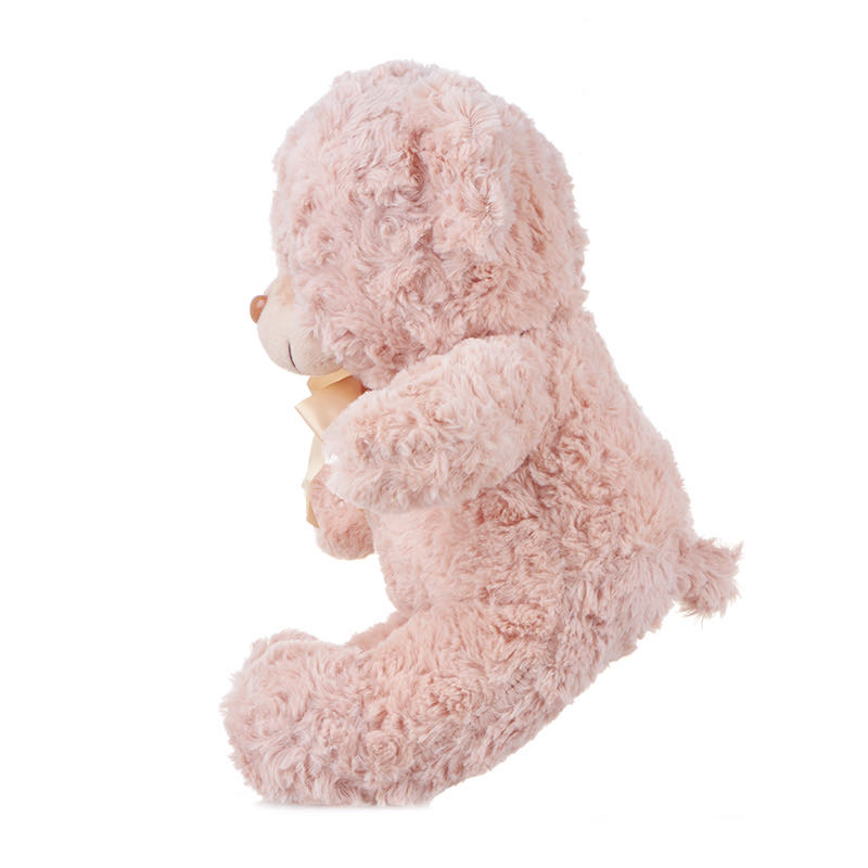 Pookies Teddy Bear 36Cm 419013 - Value Co - South Africa