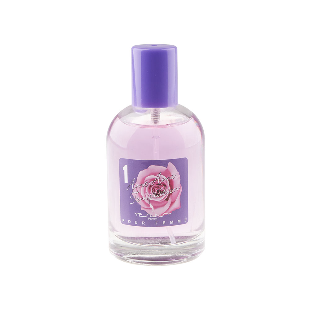 Yesensy Anne Ame Temptation Ladies Female Perfume 100Ml – Value Co ...