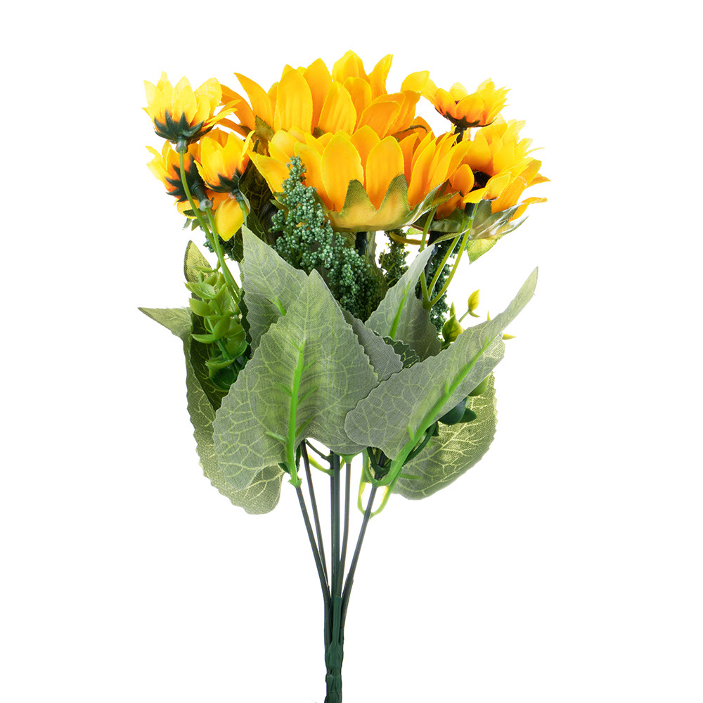 7 Holland Sunflowers 413004 – Value Co – South Africa